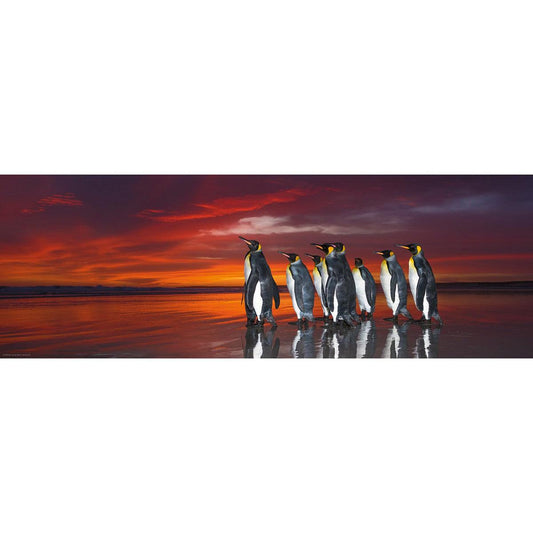 King Penguins 1000 Piece Panoramic Jigsaw Puzzle Heye