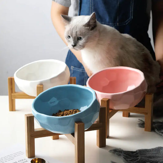 Purr - fect cat bowl - Ameraeon