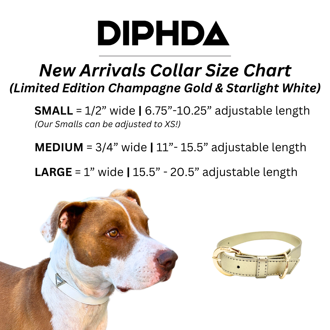 Bordeaux Red Cactus Collar - Purrfect Pet Kingdom