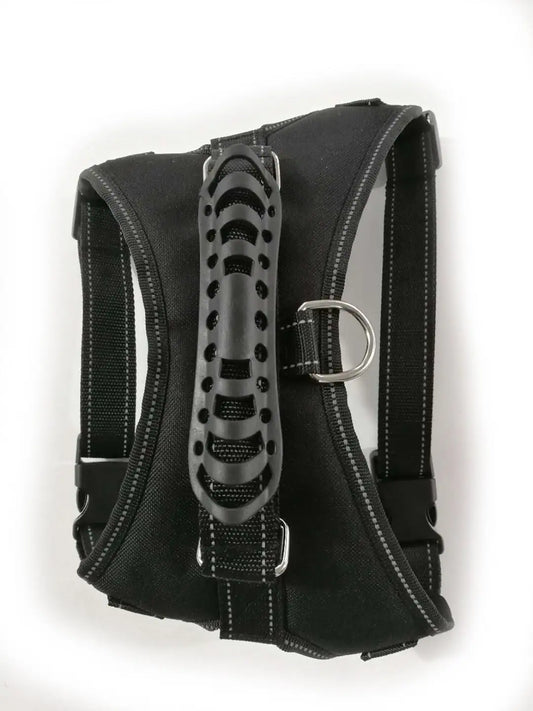 Dog Leashes - Mimarta