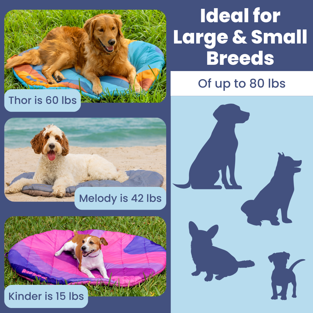 Travel Dog Bed Foldable Water Resistant ๐พ