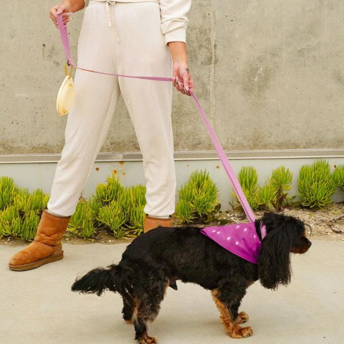 Dog Leash Hemp Cotton Sustainable Blue 🦮