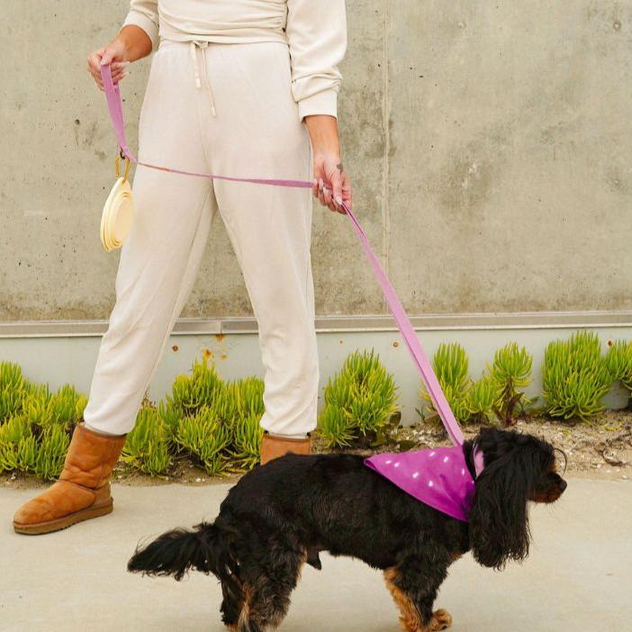 Malibu Sunset Sustainable Hemp Cotton Adjustable Dog Collar– Durable & Soft - Collars + Leashes - Tilley + Me