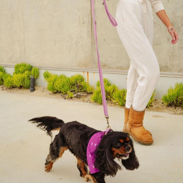 Dog Leash Hemp Cotton Sustainable Blue 🦮
