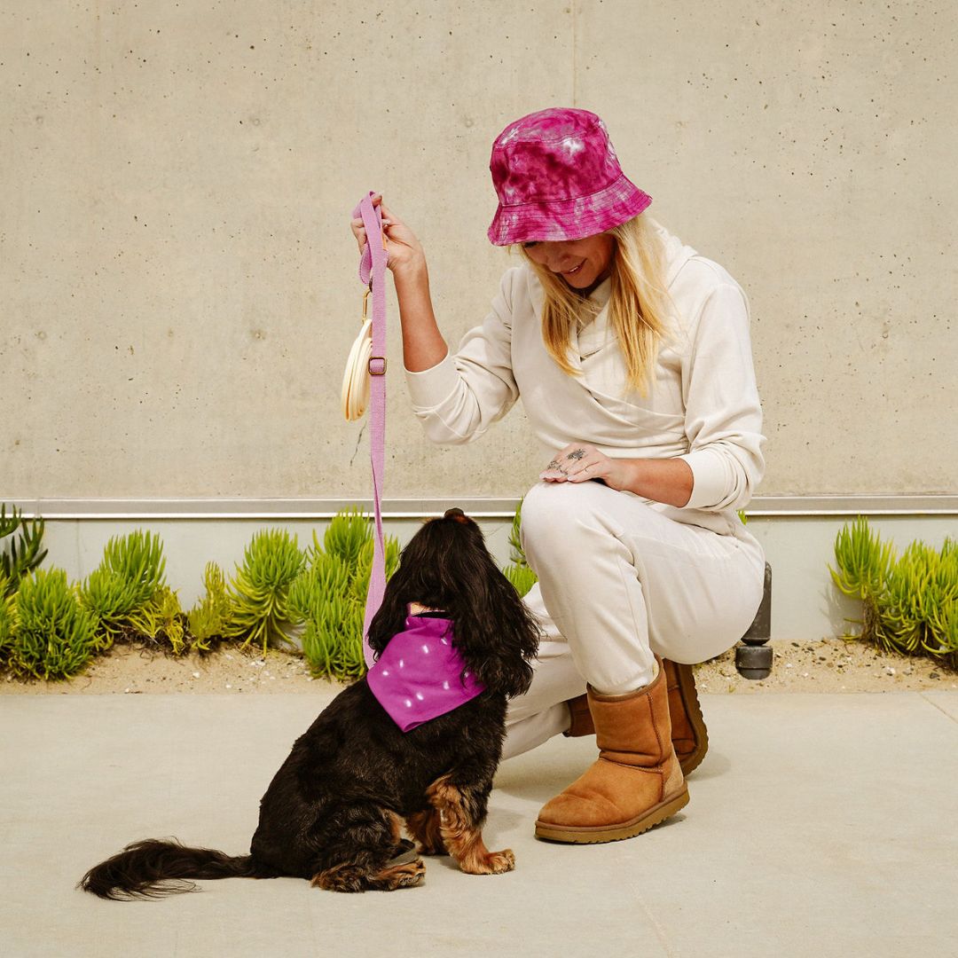 Dog Leash Hemp Cotton Sustainable Blue 🦮