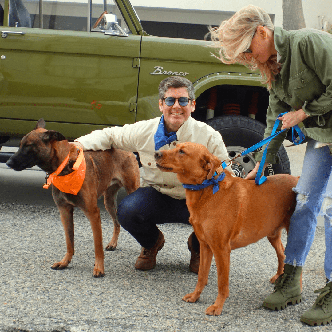 Malibu Sunset Sustainable Hemp Cotton Adjustable Dog Collar– Durable & Soft - Collars + Leashes - Tilley + Me