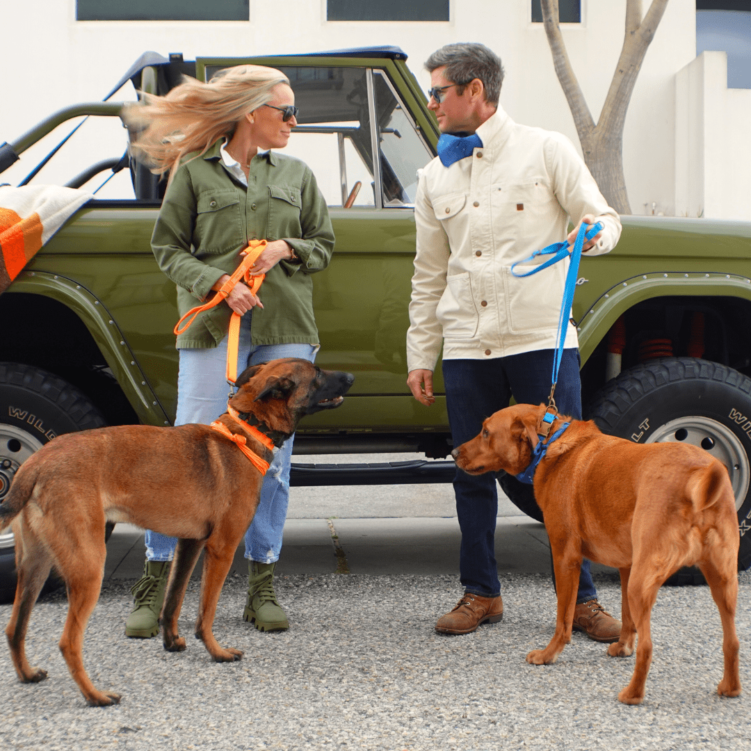 Malibu Sunset Sustainable Hemp Cotton Adjustable Dog Collar– Durable & Soft - Collars + Leashes - Tilley + Me