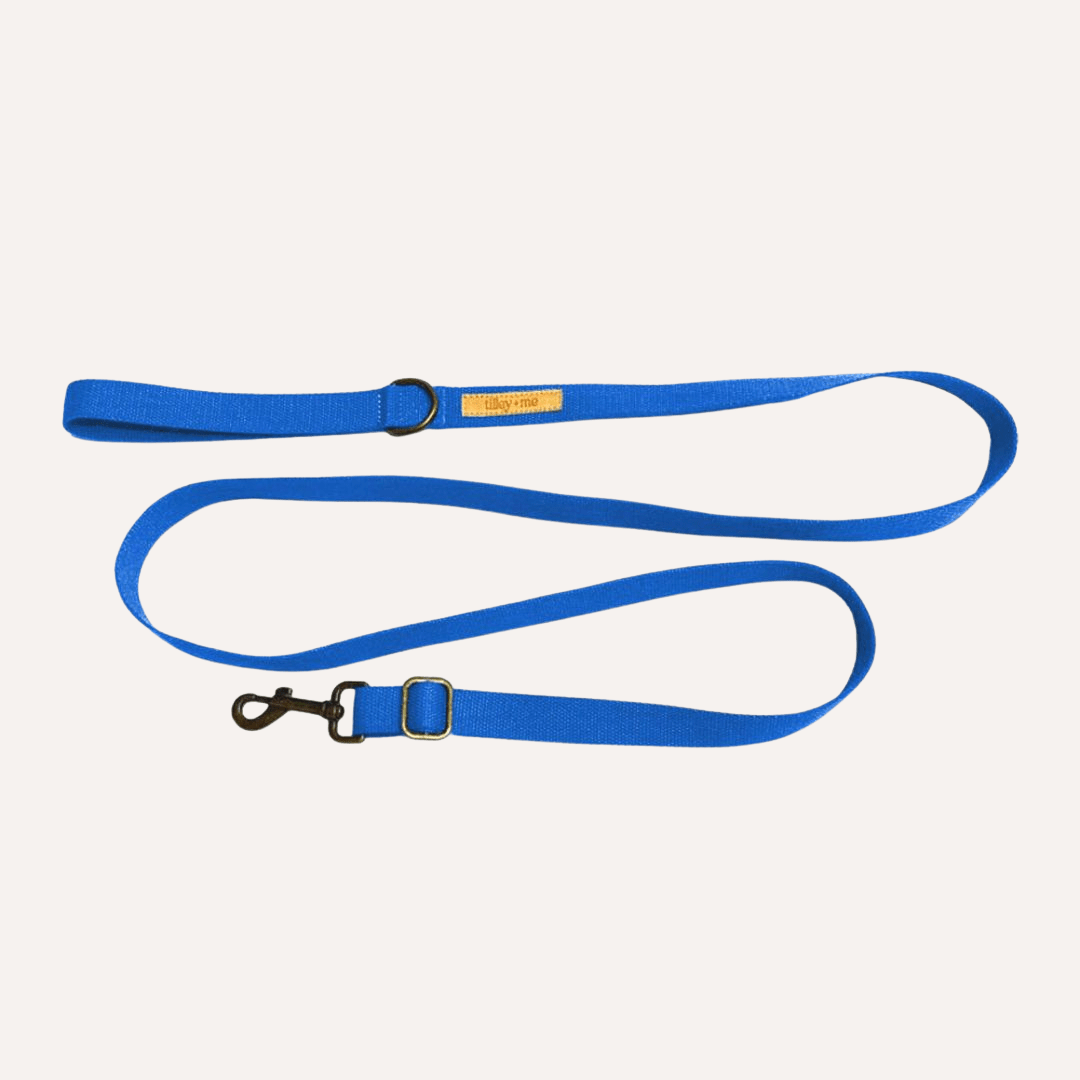 Dog Leash Hemp Cotton Sustainable Blue 🦮
