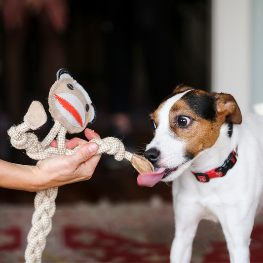 Stuey Sock Monkey Natural Rope Knottie® Dog Toy, Large (9mm