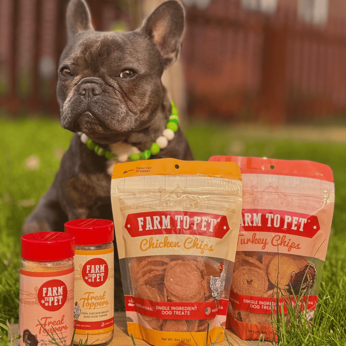 Dog Food Topper Bundle Chicken Turkey 2-Pack 8oz ๐