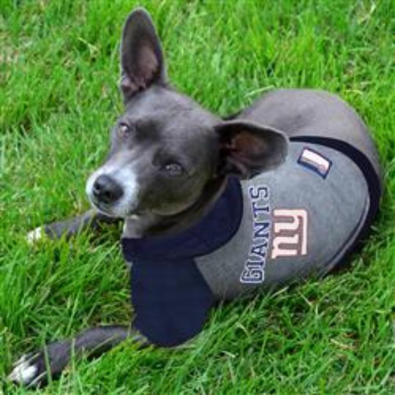 NY Giants Hoody Dog Tee