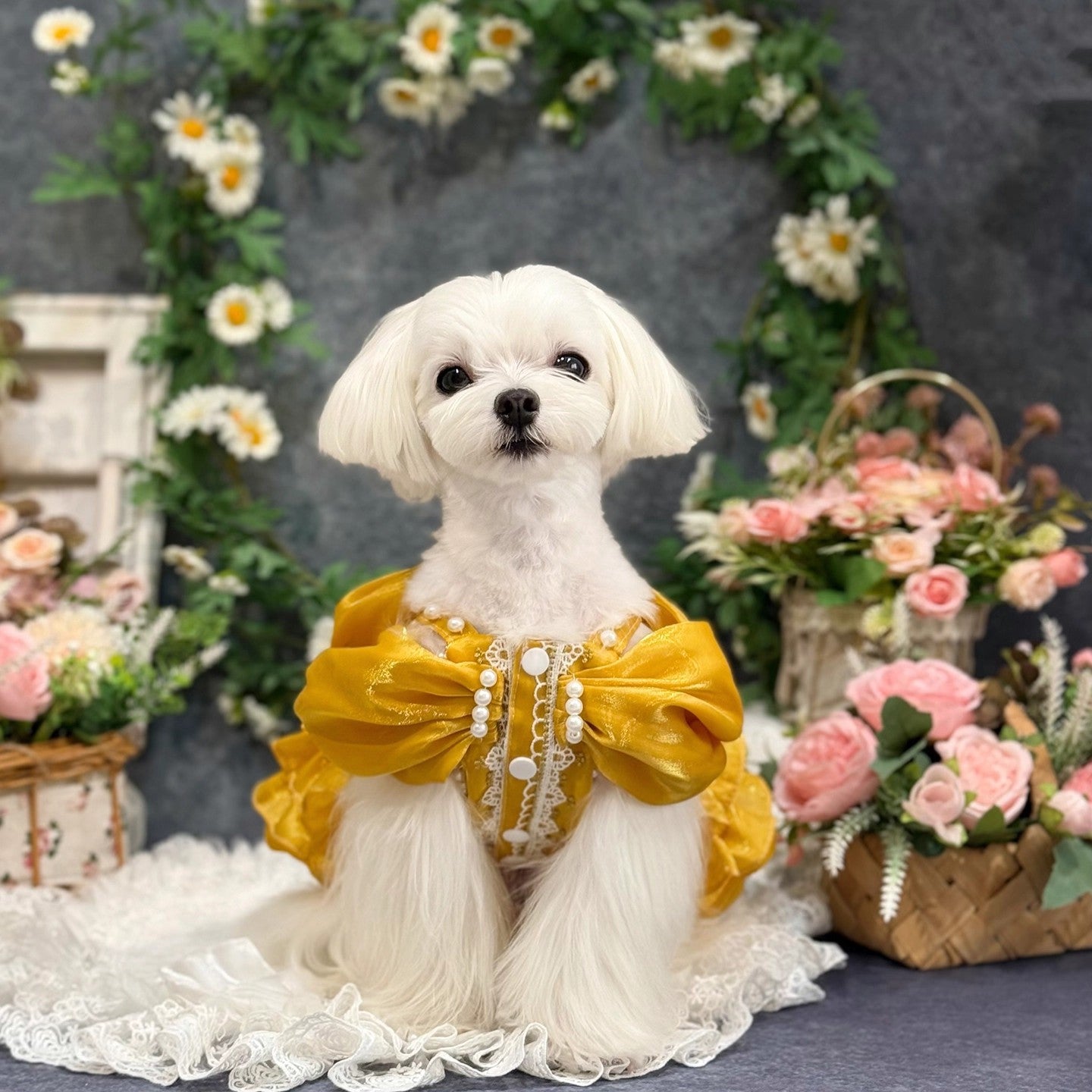 Handmade Golden Heart Jewel Dog Dress