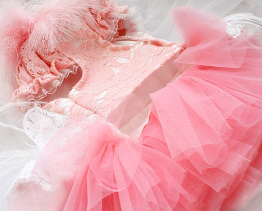 Unique Pet Feather Tutu Dog Lace Dress Princess Dress Pink