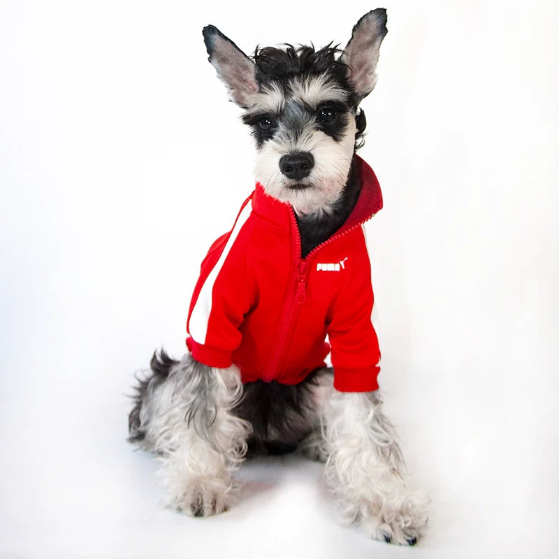 Small Dog Warm Hoodie - Autumn Winter Clothing