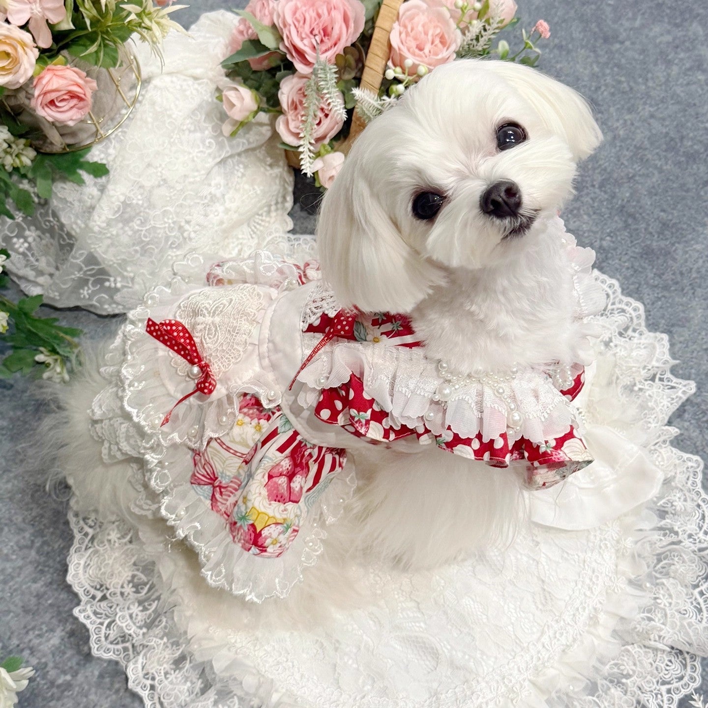 Handmade Sweet Lolita Pet Dress - Purrfect Pet Kingdom