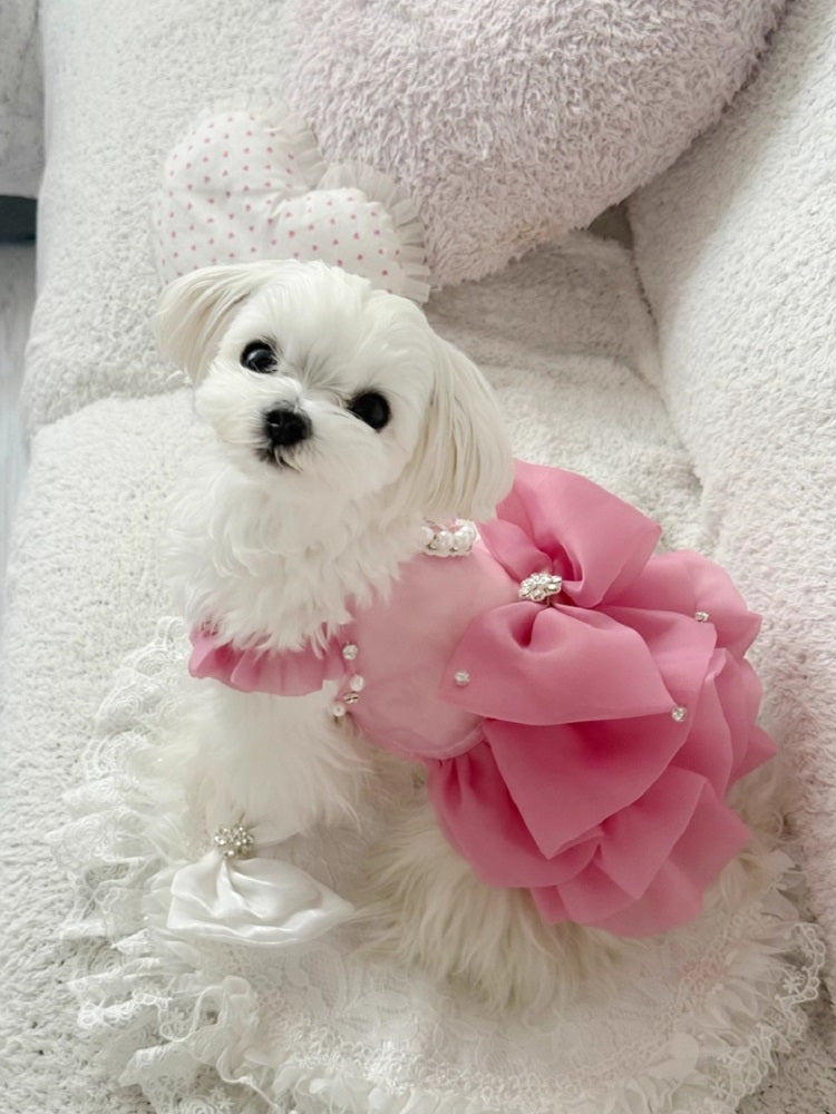 Pet Dress Pearl Diamond Crown 2 Colors