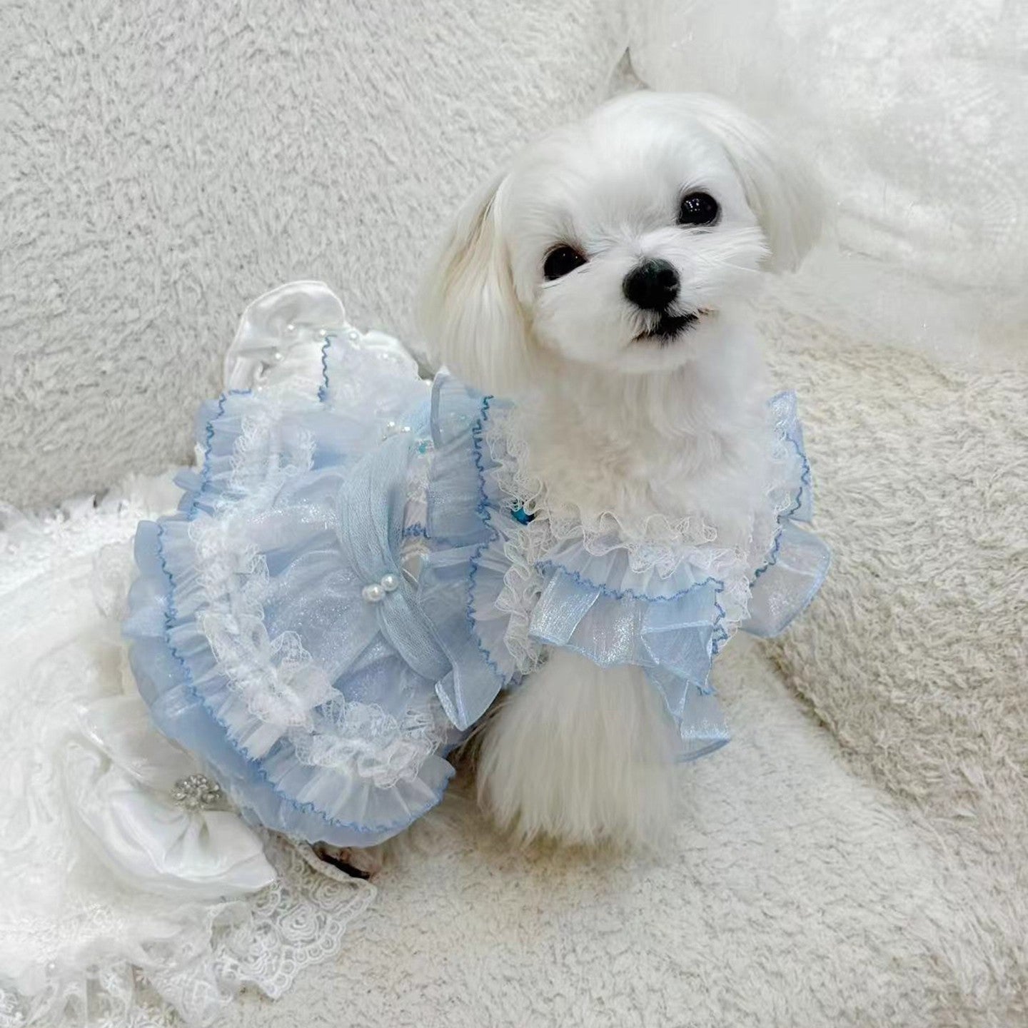 Handmade Cinderella Puppy Costume Dog Dress - Purrfect Pet Kingdom
