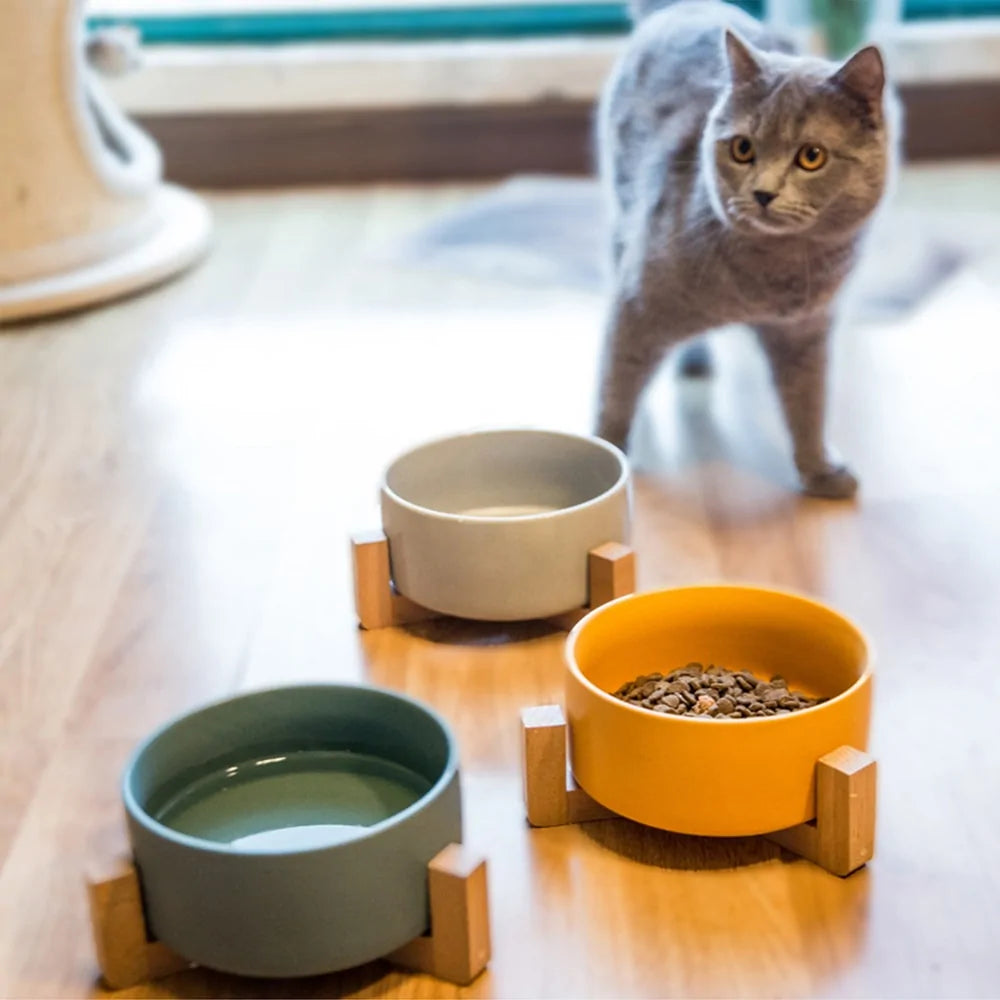 Ceramic Raised Cat Bowl w/ Wood Stand - Ameraeon