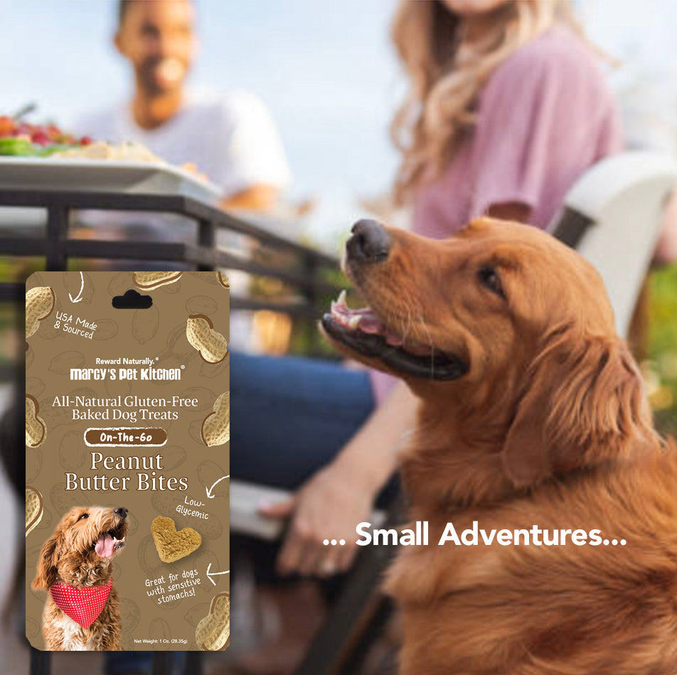 Dog Treats Vegan Peanut Butter Biscuit 1oz Travel ๐ฅ