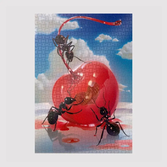 Obsession By Jiayi 1000 Piece Limited Edition Jigsaw Puzzle Sulo