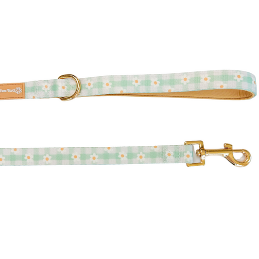 Oopsie Daisy! Leash Dog Leash | Purrfect Pet Kingdom