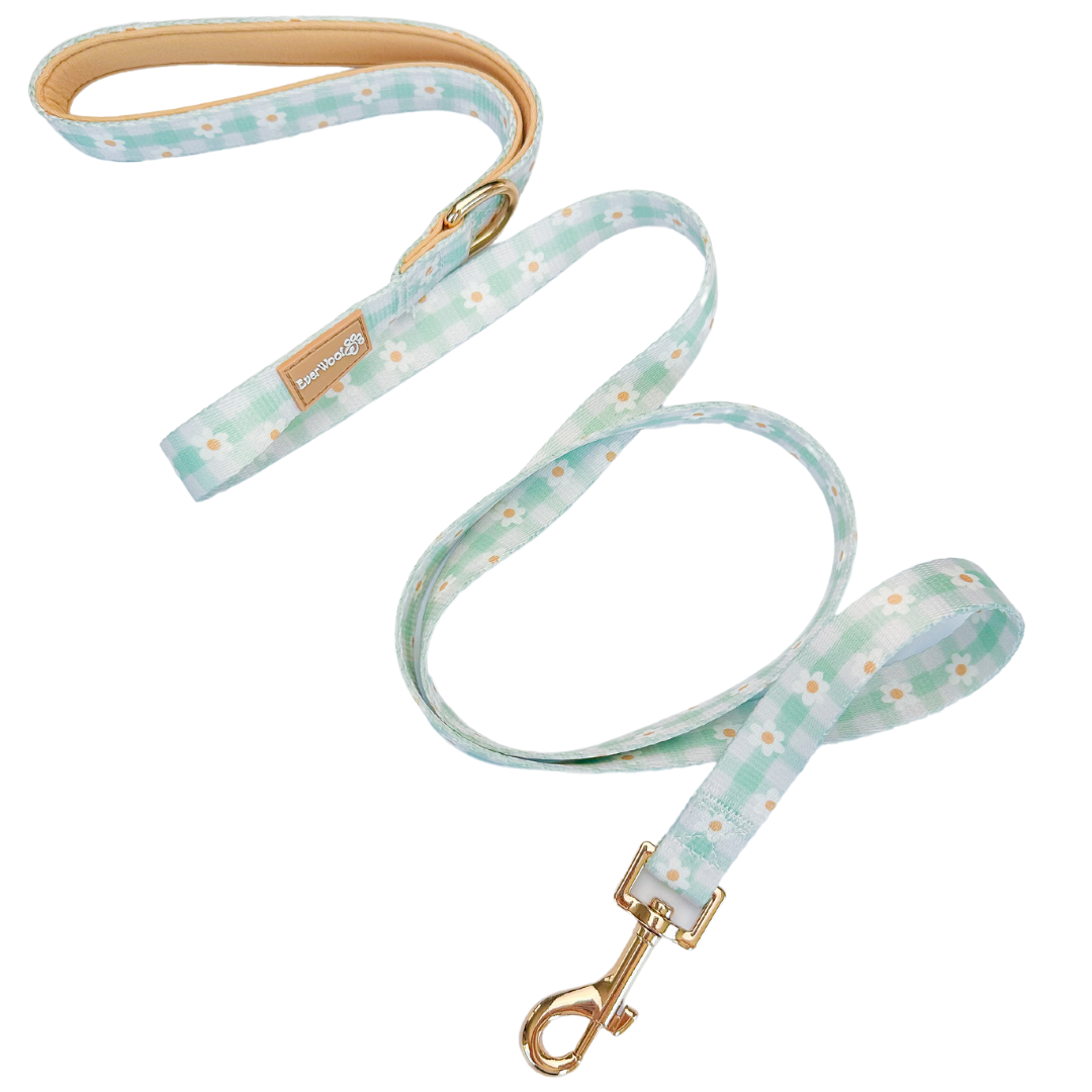 Oopsie Daisy! Leash Dog Leash | Purrfect Pet Kingdom