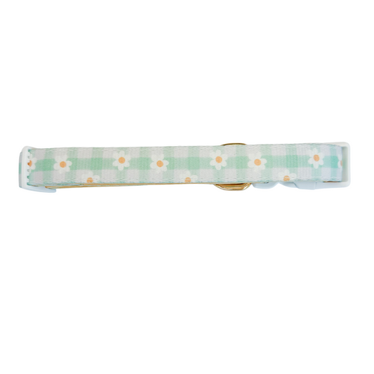 Oopsie Daisy! Collar Dog Collar | Purrfect Pet Kingdom