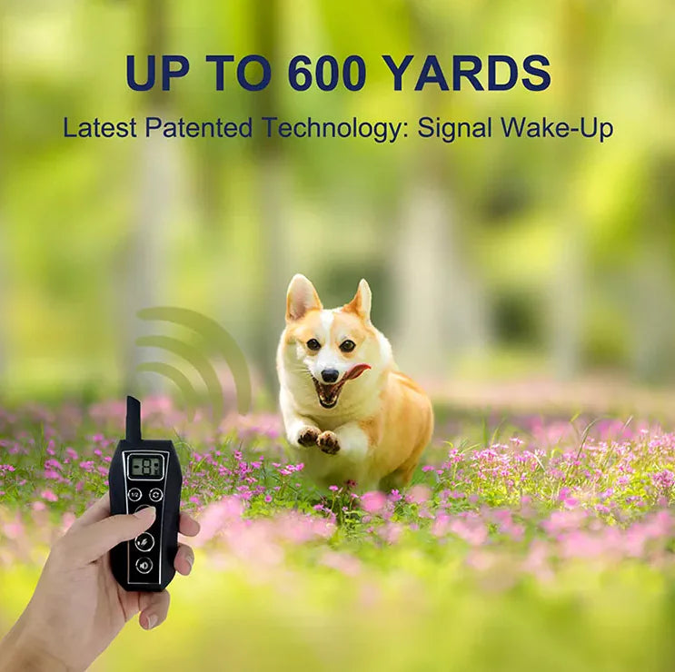 Dog Training Collar 650 YD Remote Shock Waterproof ๐
