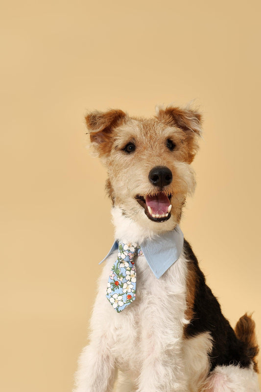 Blue Botanique Necktie Bandana - Bandana - BarkBarkBaby