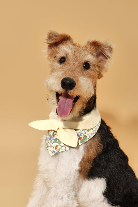 Bowtiful Garden Butter Yellow Floral Bandana - Dog Bandana - BarkBarkBaby