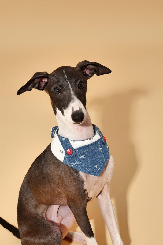 Reversible Denim Cherry Overalls Pet Bandana - Dog Bandana - BarkBarkBaby