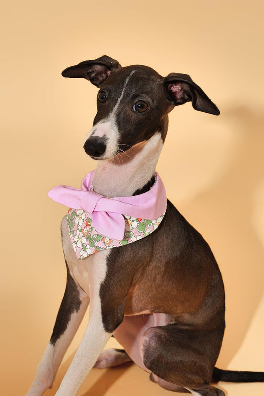 Bowtiful Garden Pink Floral Bandana - Dog Bandana - BarkBarkBaby