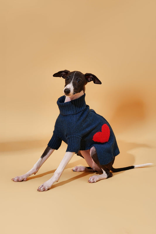 Heart to Heart Button - Up Cardigan Sweater - Dog Sweater - BarkBarkBaby