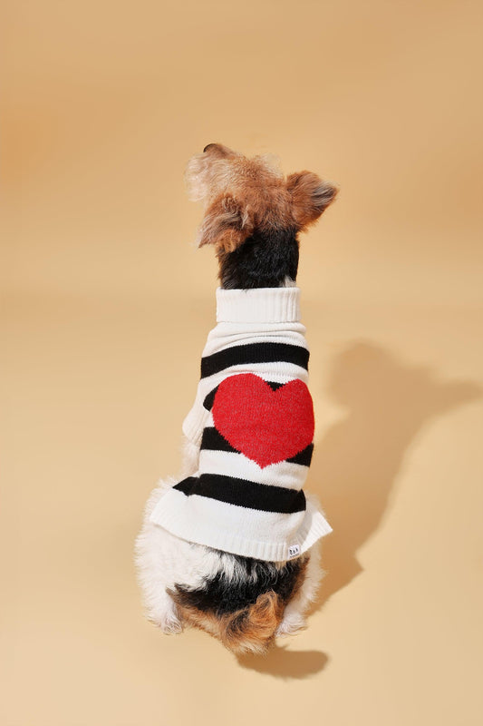 Sailor of My Heart Striped Turtleneck Sweater - Dog Sweater - BarkBarkBaby