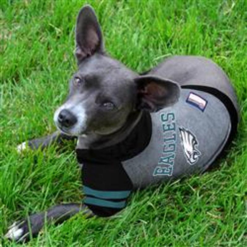 Philadelphia Eagles Hoody Dog Tee