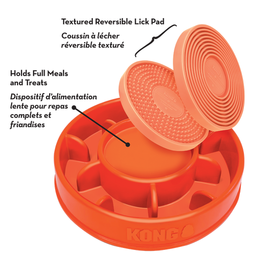 Dog Licks Mealtimes Large