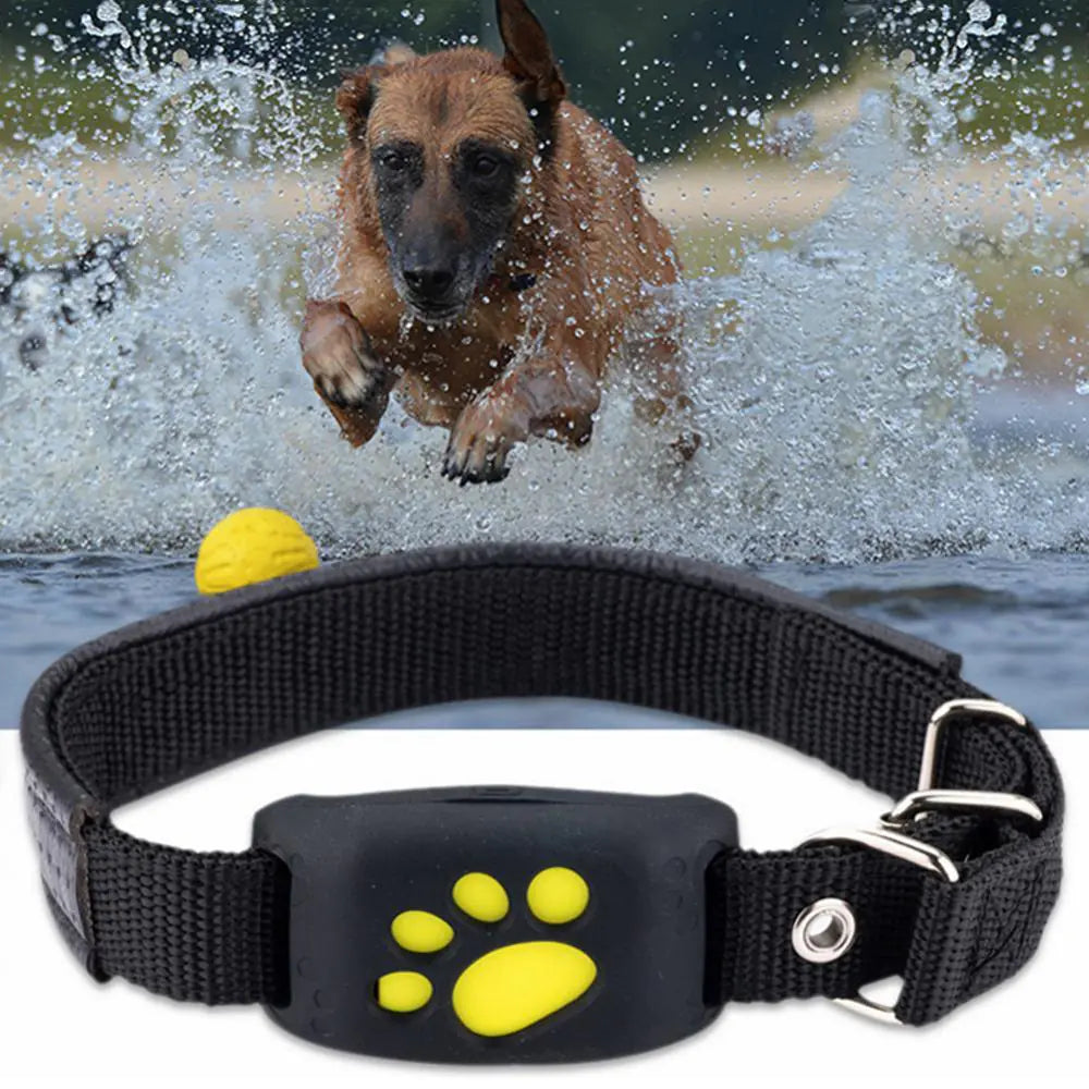Pet GPS Tracker Collar - Pet GPS Tracking Collar - Mimarta