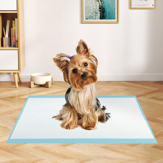 Dog and Puppy Pee Pads 24 x 17 (300 Counts) for Potty