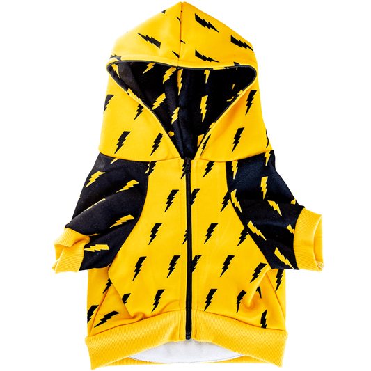 Pawgwarts Hoodie | Purrfect Pet Kingdom