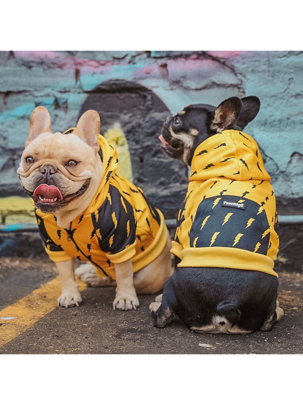 Pawgwarts Hoodie | Purrfect Pet Kingdom