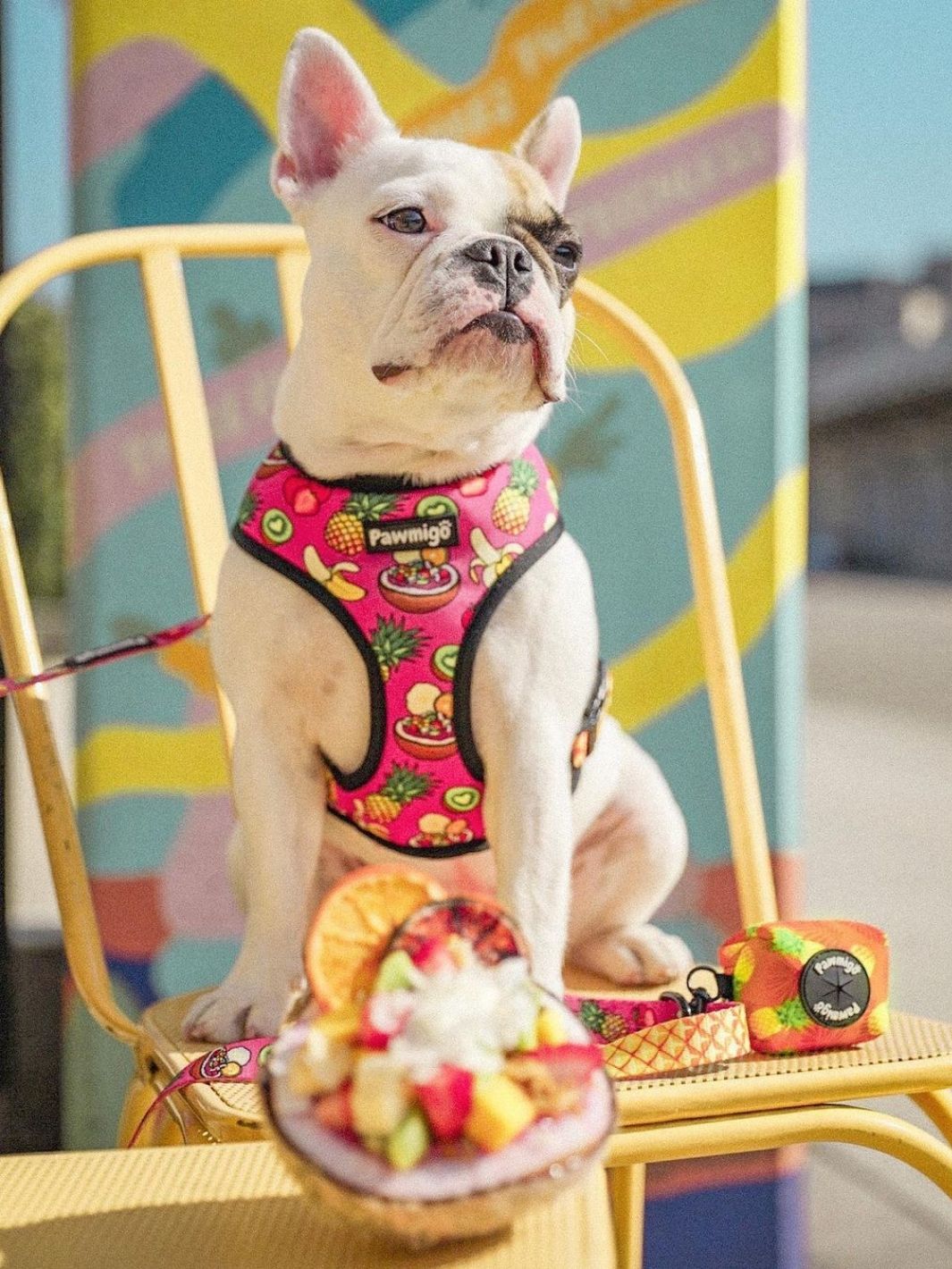 Snack Shack Leash Kit - Leash Kit - Pawmigo