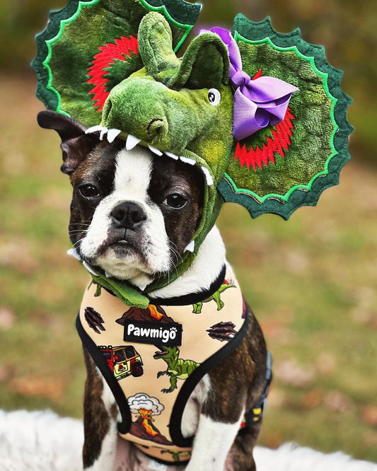 Jurassic Bark Reversible Dog Harness for Small & Large Pups