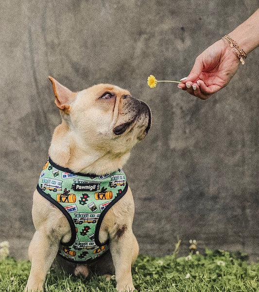 Muddy Paws Reversible Harness Dog Harness | Purrfect Pet Kingdom