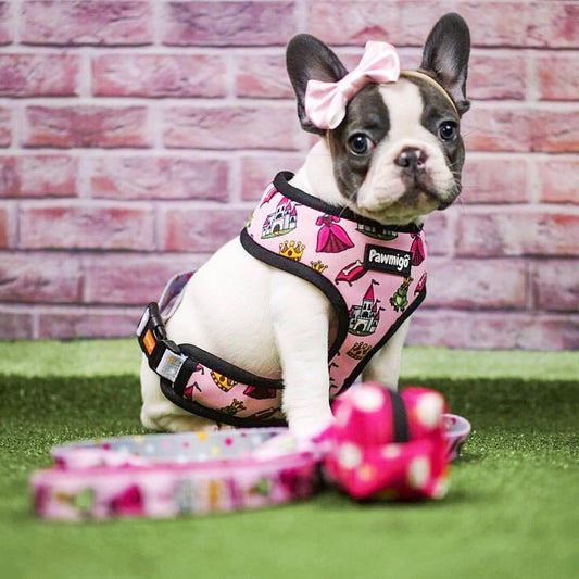 Fairytail Reversible Harness Dog Harness | Purrfect Pet Kingdom