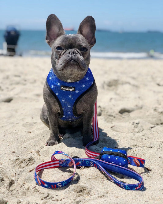 Red, White & Bark Leash Kit Dog Leash | Purrfect Pet Kingdom