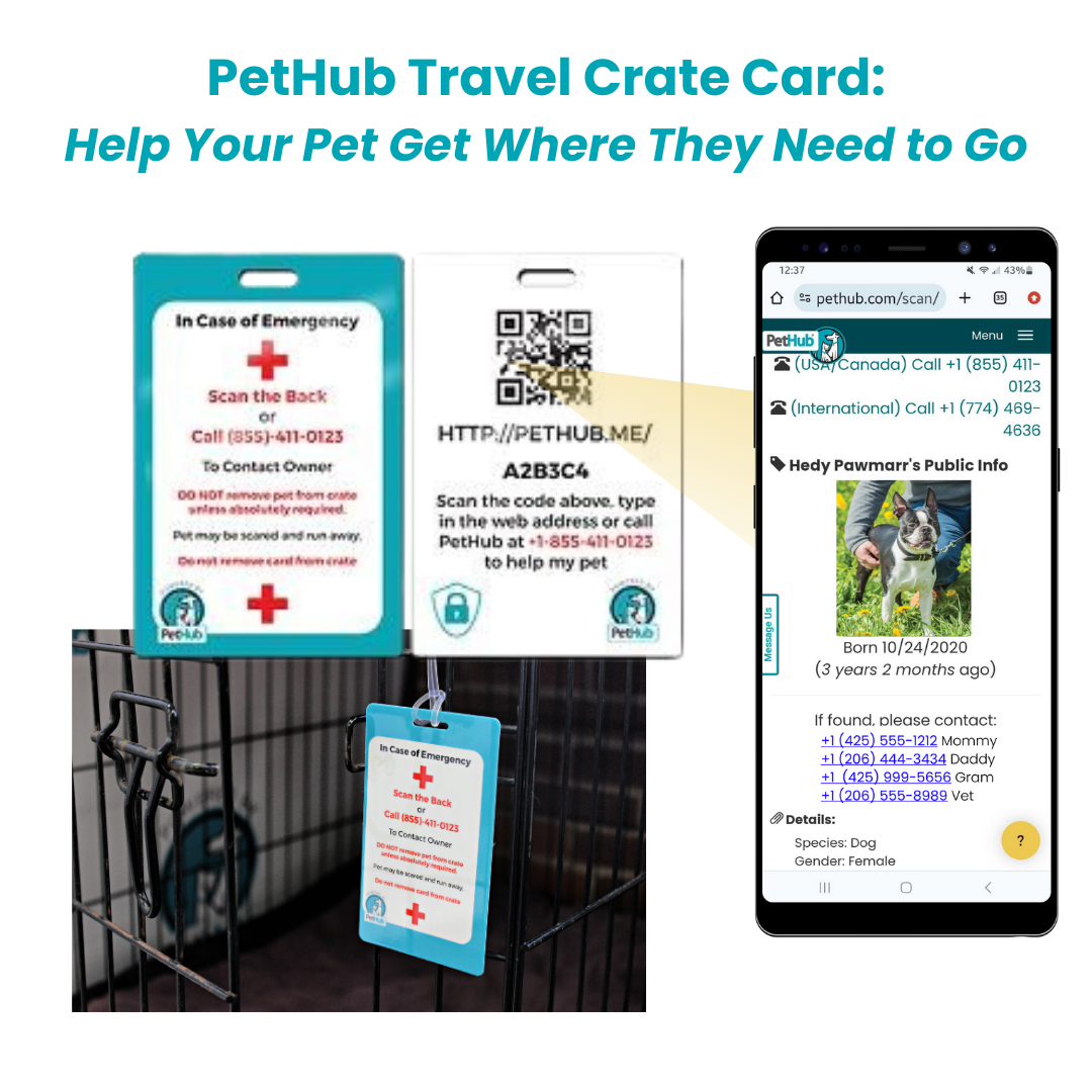 QR Pet Identification: Travel Crate Card - Purrfect Pet Kingdom