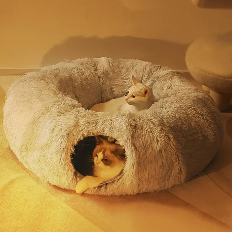 Cat Beds House - Mimarta
