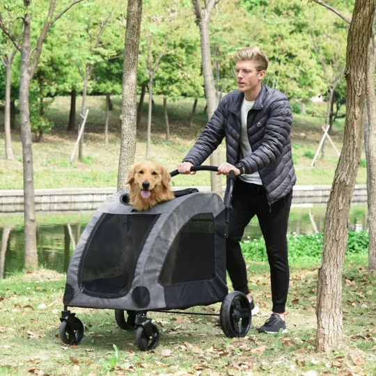 Foldable Pet Stroller with Storage Pocket - Purrfect Pet Kingdom