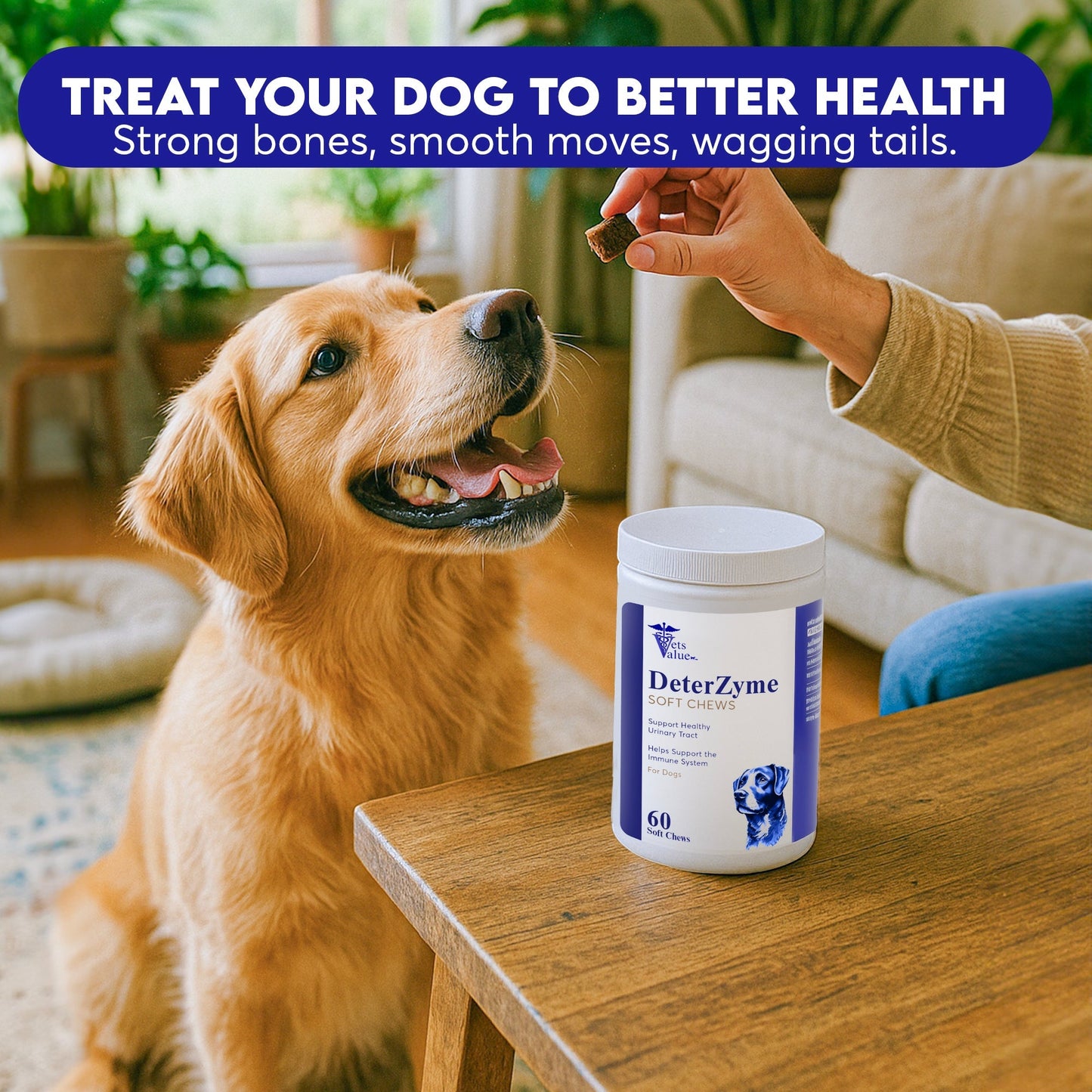 DeterZyme Stool Eating Deterrent for Dogs – 60 Soft Chews – Helps Discourage Stool Consumption – with Digestive Enzymes, Prebiotics, and Natural Herbal Blend – Supports Gut Health & Breath Freshening - Horizon Animal Care
