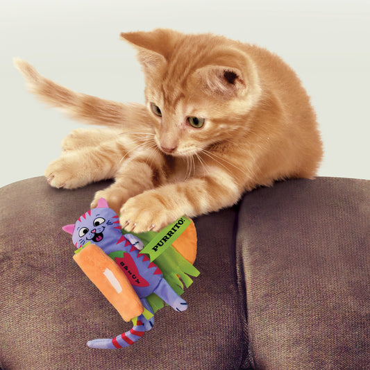 Kong Cat Pull - A - Partz Purrito - Kong Cat Toys - The Family Pet